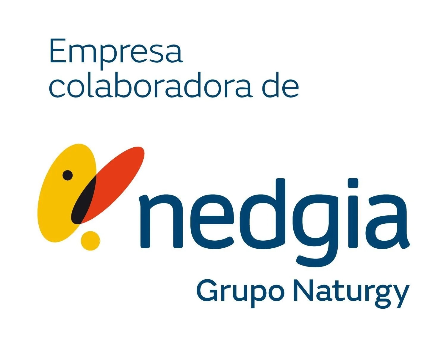 Empresa colaboradora de Nedgia — Grupo Naturgy